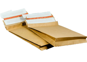 E-commerce bag paper 250x430+80mm
